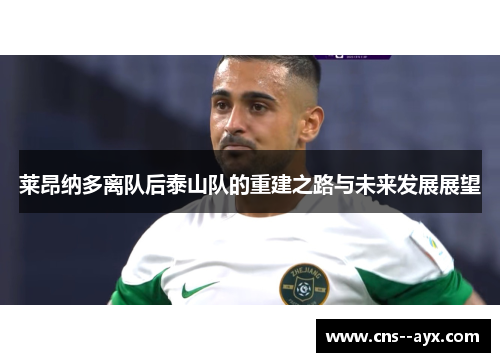 莱昂纳多离队后泰山队的重建之路与未来发展展望