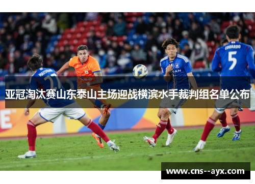 亚冠淘汰赛山东泰山主场迎战横滨水手裁判组名单公布